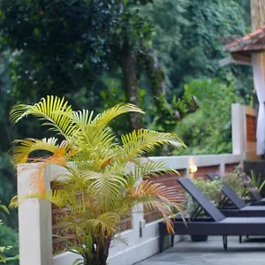 https://riverside-guesthouse-ubud.ubudhotelsnow.com